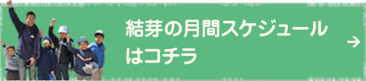 結芽の月間スケジュールはコチラ