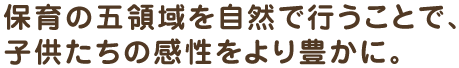 保育の五領域を自然で行うことで、子供たちの感性をより豊かに。 