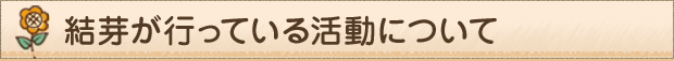 結芽が行っている活動について